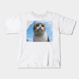 The chubby cute cats Kids T-Shirt